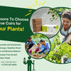 5 Reasons Why Organic Coco Coir by True Coirs Is Perfect for Your Plants