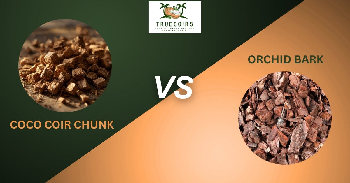 Can Coco Coir Chunks Replace Orchid Bark? What Growers and the Data Say