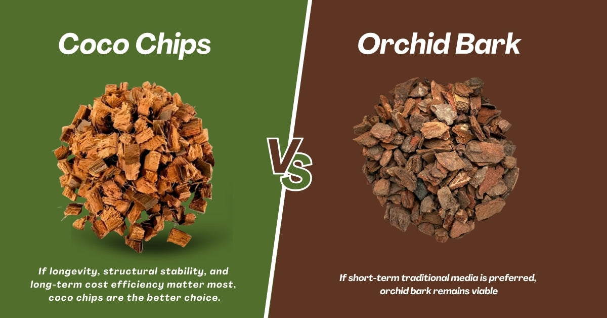Coco Chips vs. Orchid Bark: Which Substrate Lasts Longer?