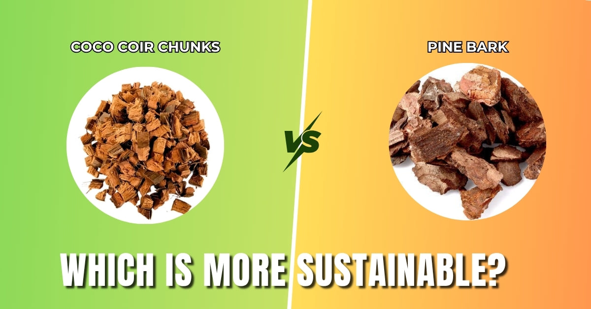 Coco Coir Chunks vs Pine Bark: Which Is More Sustainable?