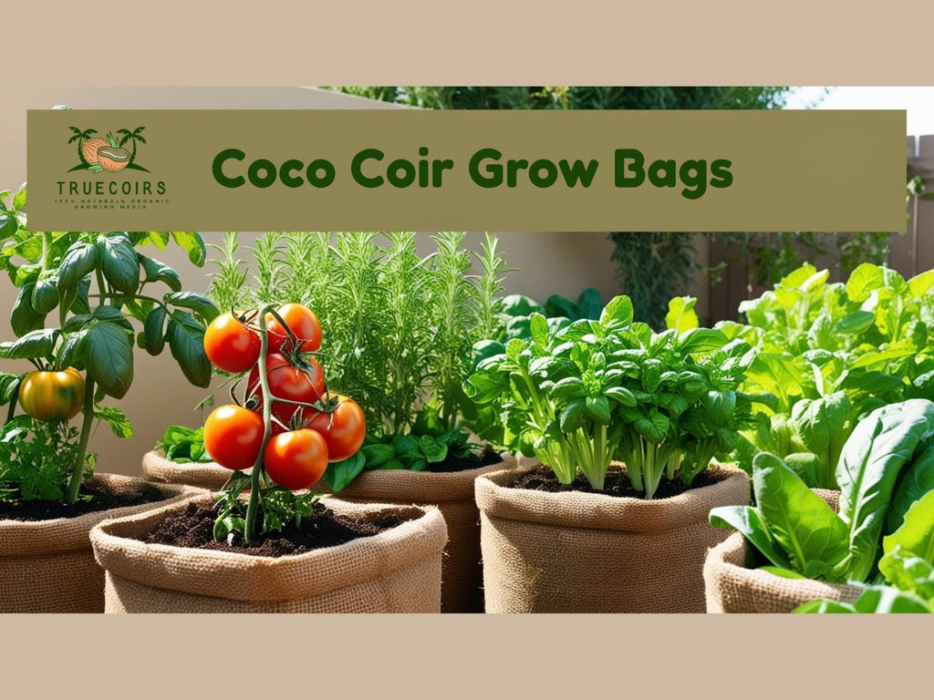 The Ultimate Guide to Coco Coir Grow Bags: Revolutionizing Modern Gardening