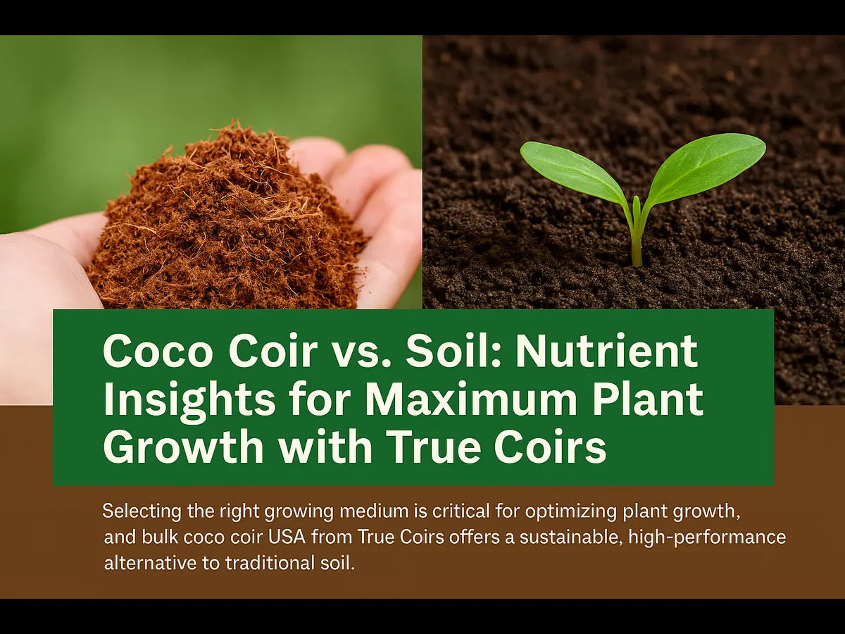Coco Coir vs. Soil: Nutrient Insights for Maximum Plant Growth with True Coirs