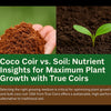 Coco Coir vs. Soil: Nutrient Insights for Maximum Plant Growth with True Coirs