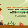 From Blueberries to Beans: Using Coco Coir for Fruit & Vegetable Yields
