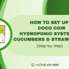 How to Set Up a Coco Coir Hydroponic System for Cucumbers & Strawberries (Step-by-Step)