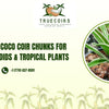 How to Use Coco Coir Chunks for Orchids, Aroids & Tropical Plants