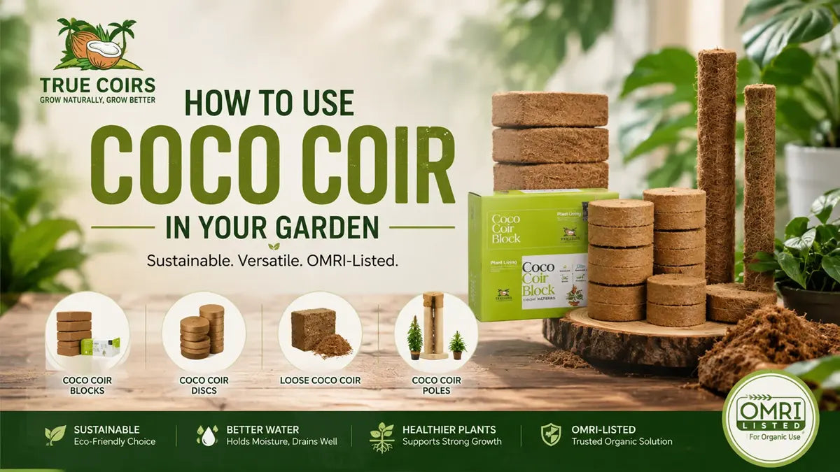 How to Use Coco Coir in Your Garden