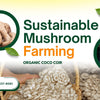 Scaling Your Mushroom Farm Sustainably with Organic Coco Coir: The Complete Guide