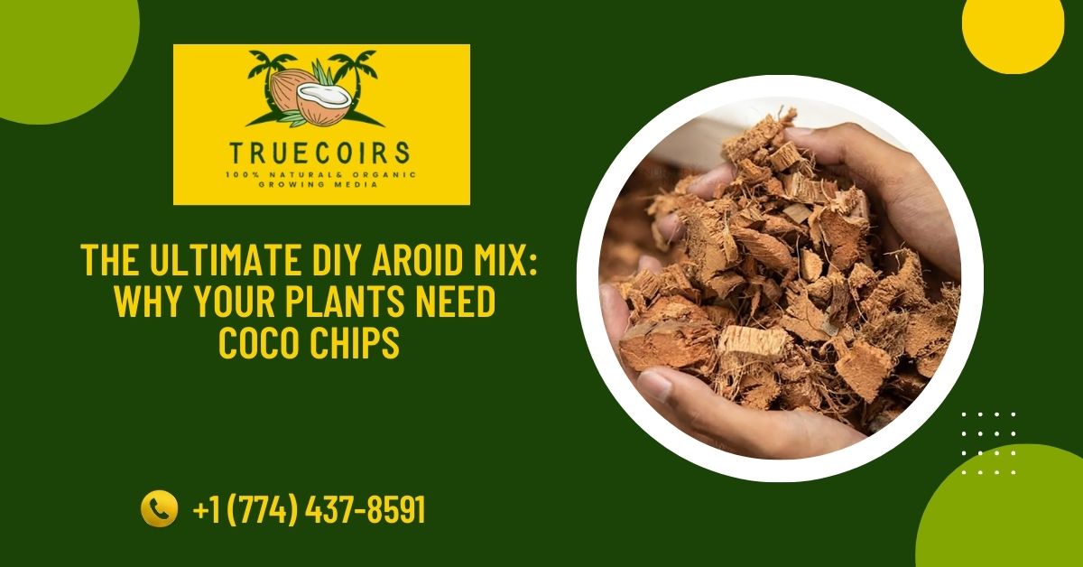 The Ultimate DIY Aroid Mix: Why Your Plants Need Coco Chips