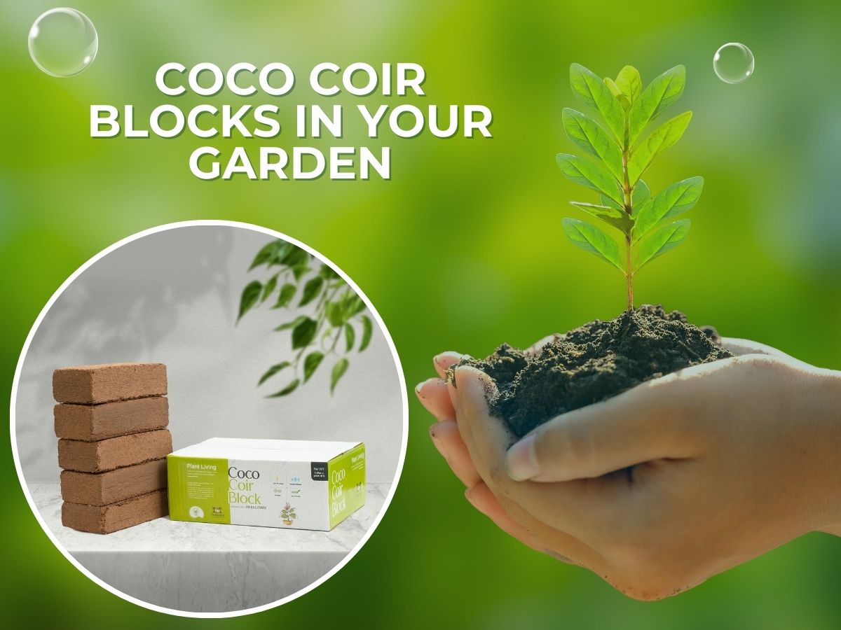 Unlocking the Power of Coco Coir Blocks: How to Maximize Your Garden's Potential