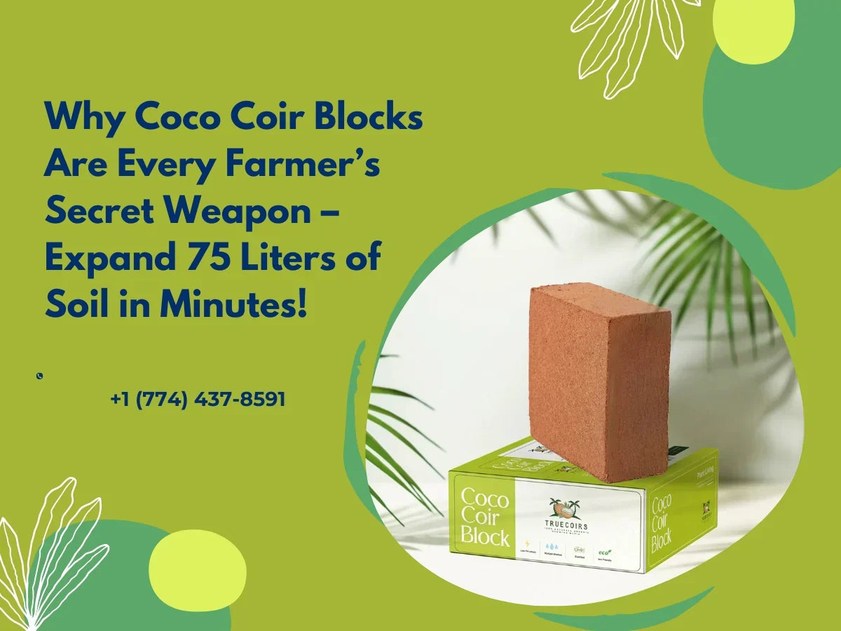 Why Coco Coir Blocks Are Every Farmer’s Secret Weapon – Expand 75 Liters of Soil in Minutes!