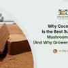 Why Coconut Coir Is the Best Substrate for Mushroom Farming (And Why Growers Are Switching)