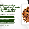 Why US Nurseries Are Switching to Coco Coir Chunks for Tropical Plant Mixes (Bulk Buying Guide)