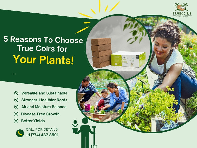 5 Reasons Why True Coirs Coconut coir Are Perfect for Your Plants