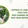 Buffered vs. Unbuffered Coco Coir: What Cannabis Growers Must Know Before Buying