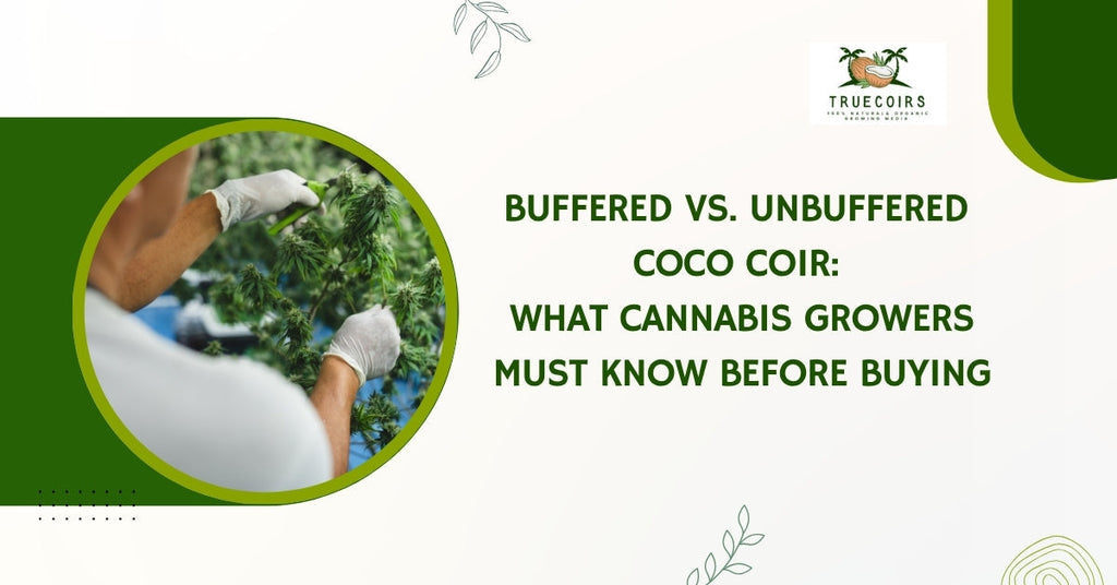 Buffered vs. Unbuffered Coco Coir: What Cannabis Growers Must Know Before Buying