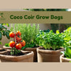 The Ultimate Guide to Coco Coir Grow Bags: Revolutionizing Modern Gardening