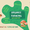 Environmental Impact: Why Restaurants Choose Mushrooms Grown in Coco Coir