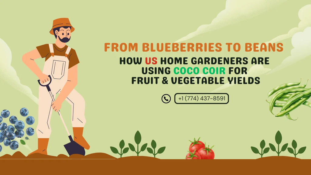 From Blueberries to Beans: Using Coco Coir for Fruit & Vegetable Yields