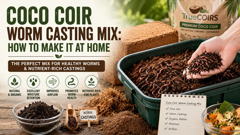 How to Make the Ideal Coco Coir Worm Casting Mix at Home