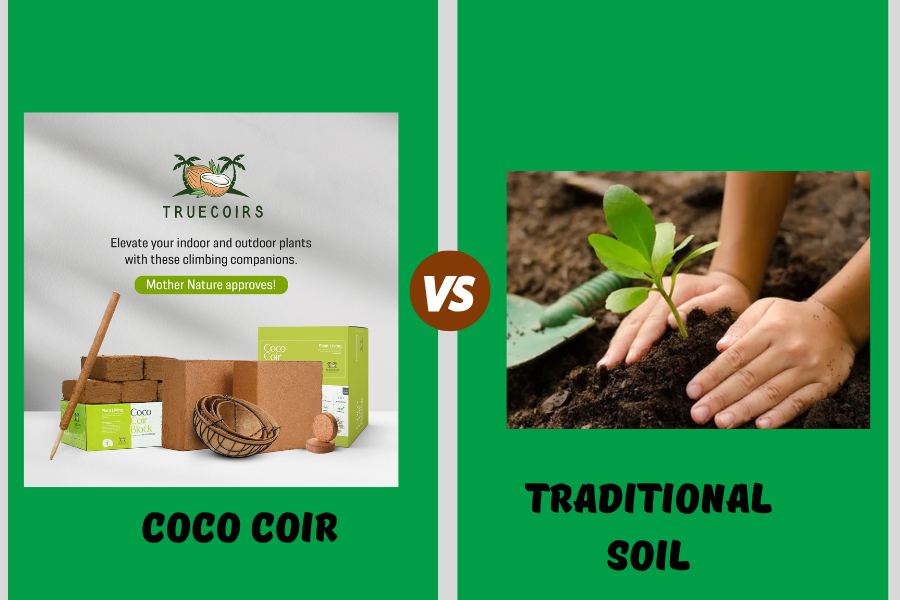 Coco Coir Blocks or Traditional Soil: Which is Best for Your Plants? - A Detailed Overview