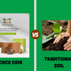 Coco Coir Blocks or Traditional Soil: Which is Best for Your Plants? - A Detailed Overview