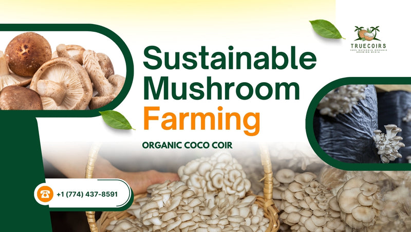 Mushroom Farm Sustainably with Organic Coco Coir