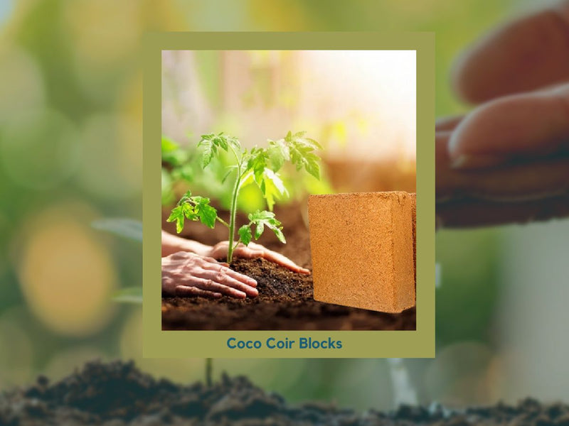 Premium Coco Coir Blocks