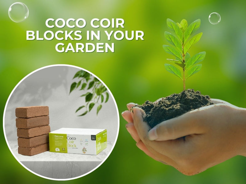 Unlocking the Power of Coco Coir Blocks: How to Maximize Your Garden's Potential