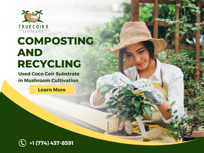 reusing coconut coir for gradening and waste reduction