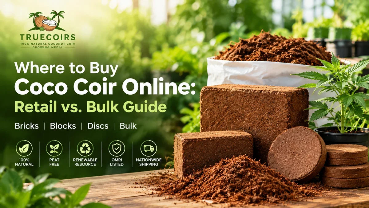 Where to Buy Coco Coir Online: Retail vs. Bulk Buying Guide