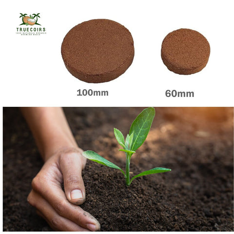 Coco Coir Discs 100mm - Pack of 25