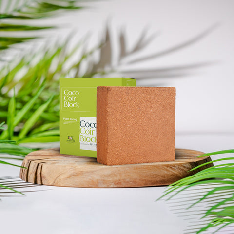 coco peat bricks for sale