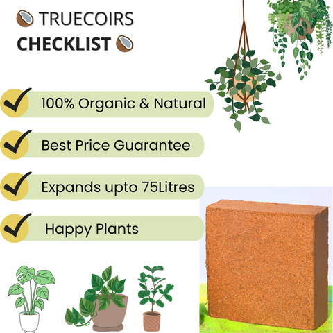 Natural And Organic Coco Coir