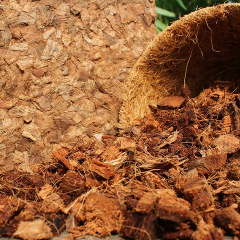 100% Natural and Organic Coco Coir Chunks Compressed Blocks - High Expansion (70 to 75 Liters) Coco Soil Medium - OMRI Listed -10 LB