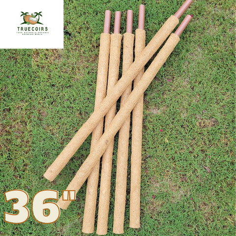Organic Coco Coir Poles for Climbing Plants