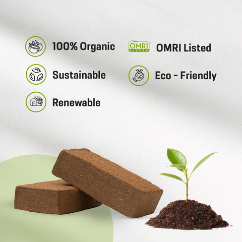 1/2 Pallet of 650G/1.4LB -  Single pieces of Coco Coir Brick  Ideal Organic Growing Media & Soil Amendment, Low pH