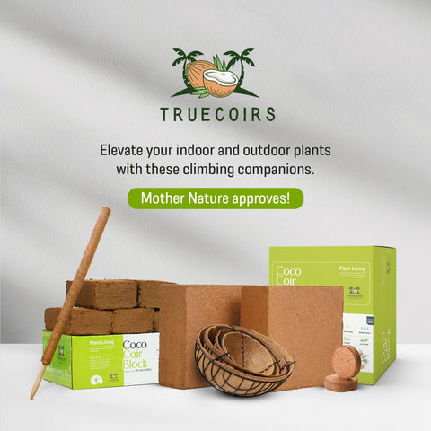 organic coco coir bricks