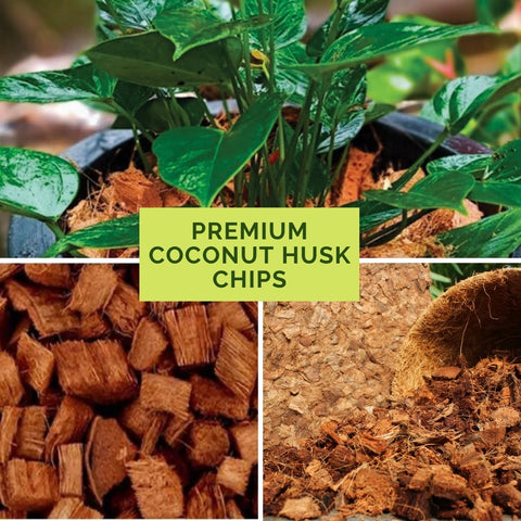 100% Natural and Organic Coco Coir Chunks Compressed Blocks - High Expansion (70 to 75 Liters) Coco Soil Medium - OMRI Listed -10 LB