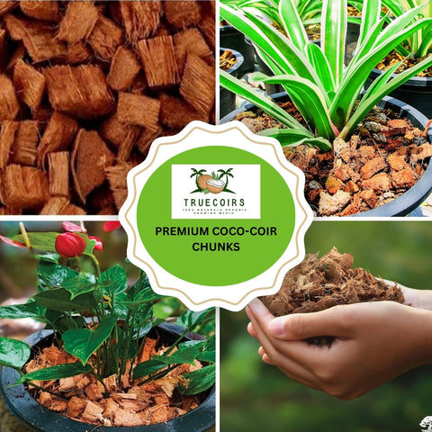 100% Natural and Organic Coco Coir Chunks Compressed Blocks - High Expansion (70 to 75 Liters) Coco Soil Medium - OMRI Listed -10 LB