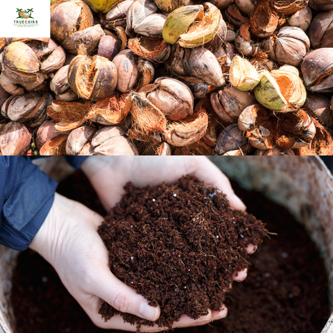 Bulk coco coir peat for commercial growers