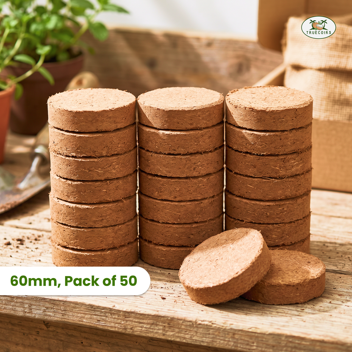 Coco Coir Discs 60mm, (Pack of 50)