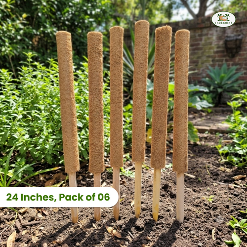 Coco Coir Stackable Poles 24 Inches, Pack of 6