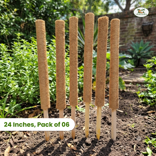 Coco Coir Stackable Poles 24 Inches, Pack of 6
