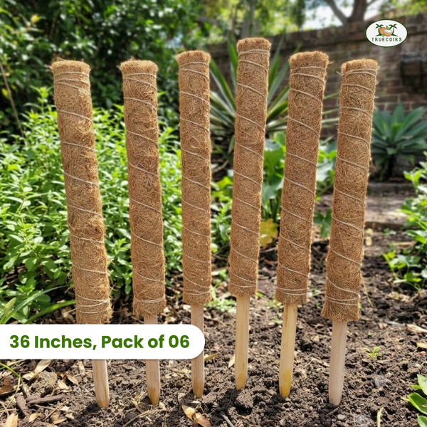 Coco Coir Stackable Poles 36 Inches, Pack of 6
