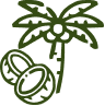 Coconut Based
Product