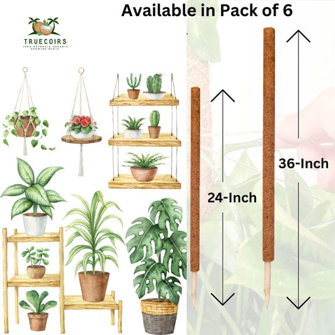 Coco Coir Pole- Plants Monstera, 36" " sized Poles for Climbing Plants, Plant Support Stakes for Indoor/Outdoor Potted Plants - Pack of 6