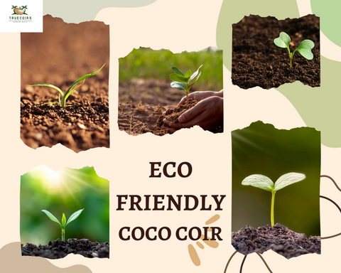 Premium Coco Coir 