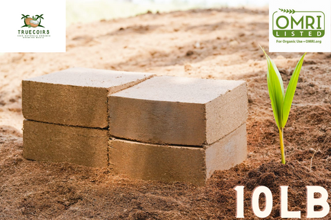 Pallet of 5kg coco coir bricks wholesale