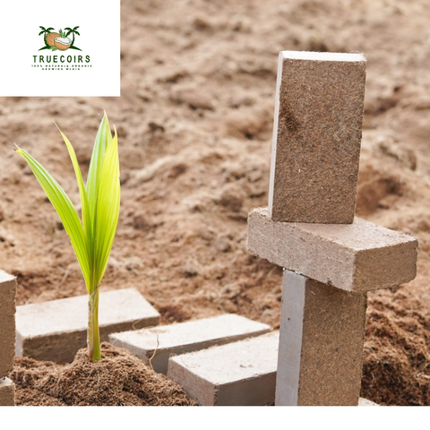 Premium Coco Coir Bricks